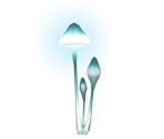 Common Glowcap