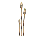 Horsetail
