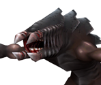 Raptor
