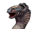 Worm