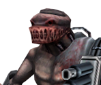 Arachnoid