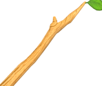 Wooden Stick