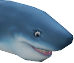 Shark