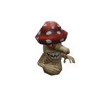 Live Mushroom