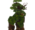Ent