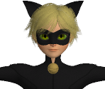 Cat Noir