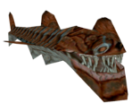Shark