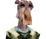 Yarkora