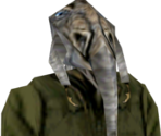 Pacithhip
