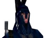 Senate Guard