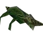 Lizard