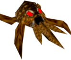 Spider
