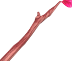 Cherry Stick