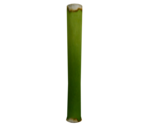 Bamboo (Section)