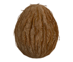 Coconut