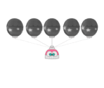 Bunby Balloon