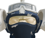 High Volt