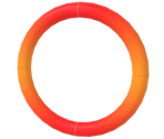Coin Rings