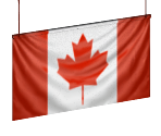 Flag (2005)
