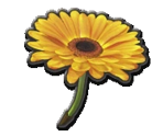 Flower Glider