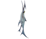 Swordfish