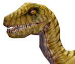 Megaraptor