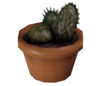 Cactus