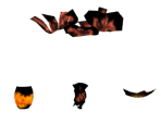Fire Effects