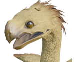 Company Chocobo