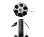 A Reel Friend