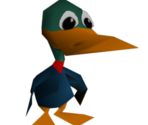 Duck