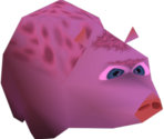 Pig