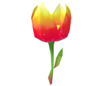 Fire Flower