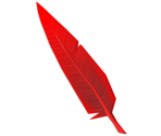 Phoenix Feather