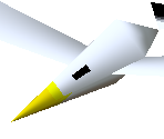 Seagull
