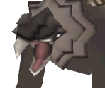 Griphon