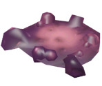 Boil