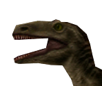 Allosaurus