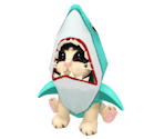 Shoulder Shark Cat