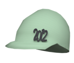 2012 Skater Beanie