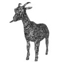 Static Goat