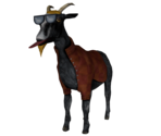 Influencer Goat